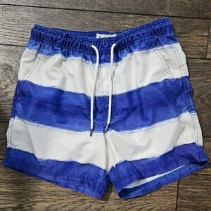 American Eagle Outfitters Swim Trunks Size Small